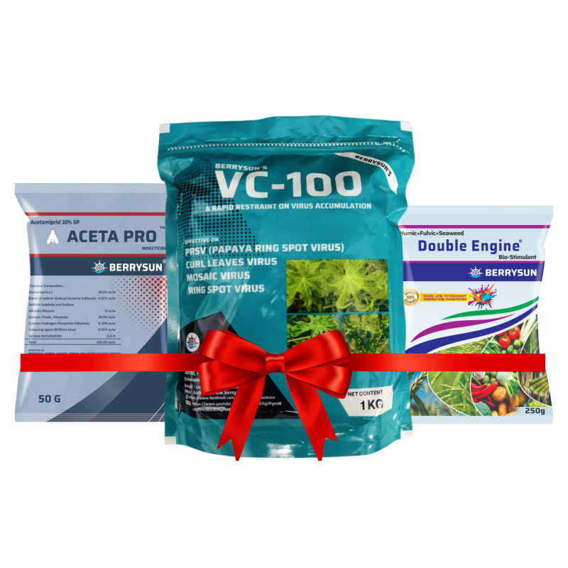 VC-100 Aceta Combo Green